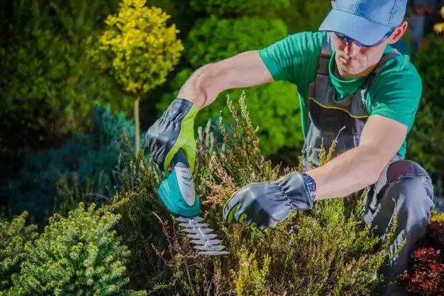 landscaping services Roslyn